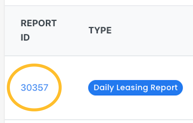 05 Report ID.png