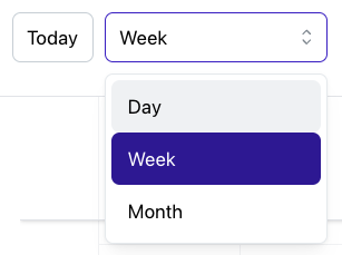 03 Date Dropdown.png